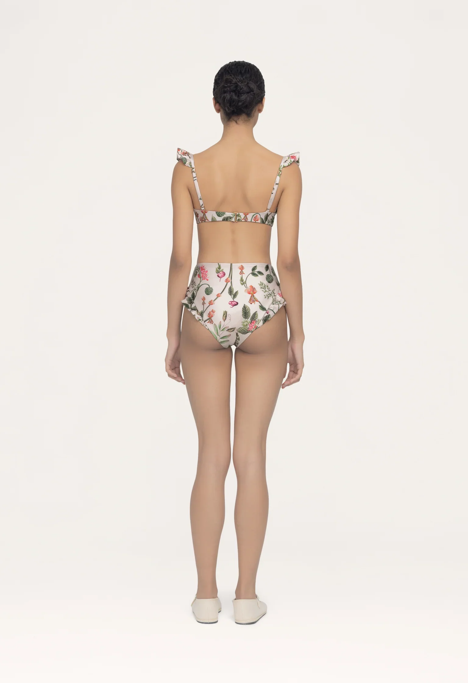 Bottom Jengibre Cultivo - Image 2