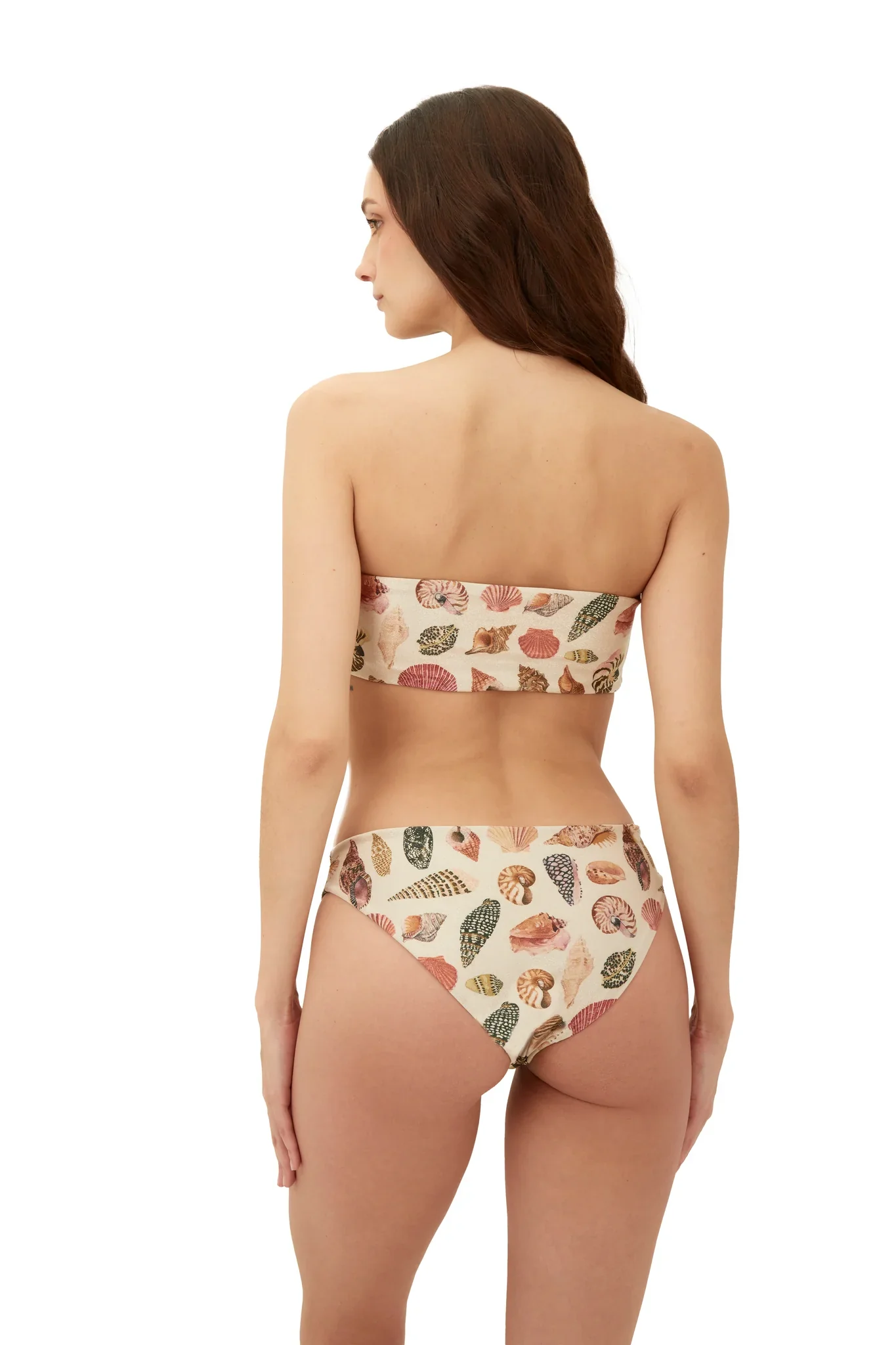 Bottom Neo Paramount Seashell - Image 2