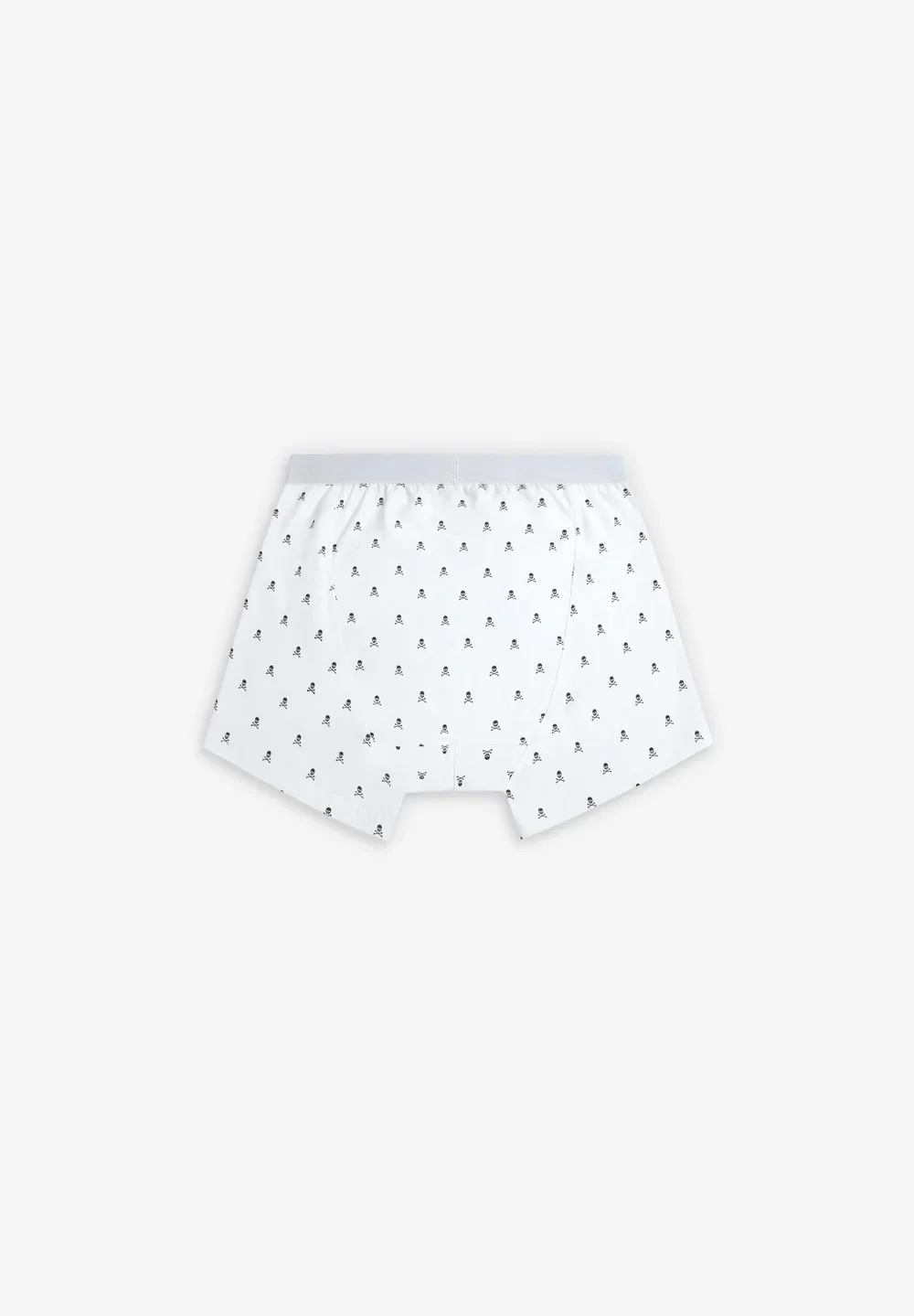 Boxer Skull - Image 4
