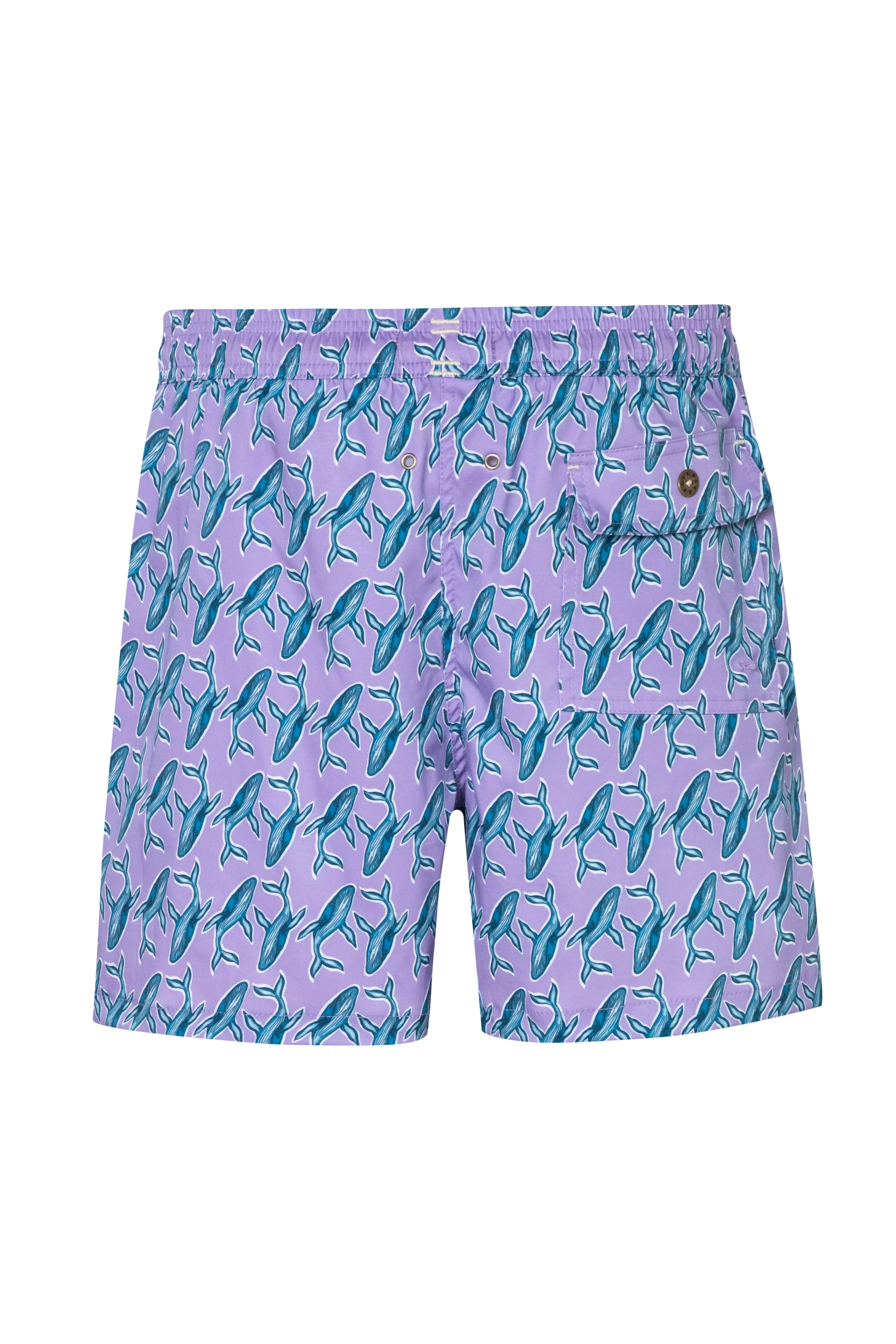 Short Baleia2 - Image 2