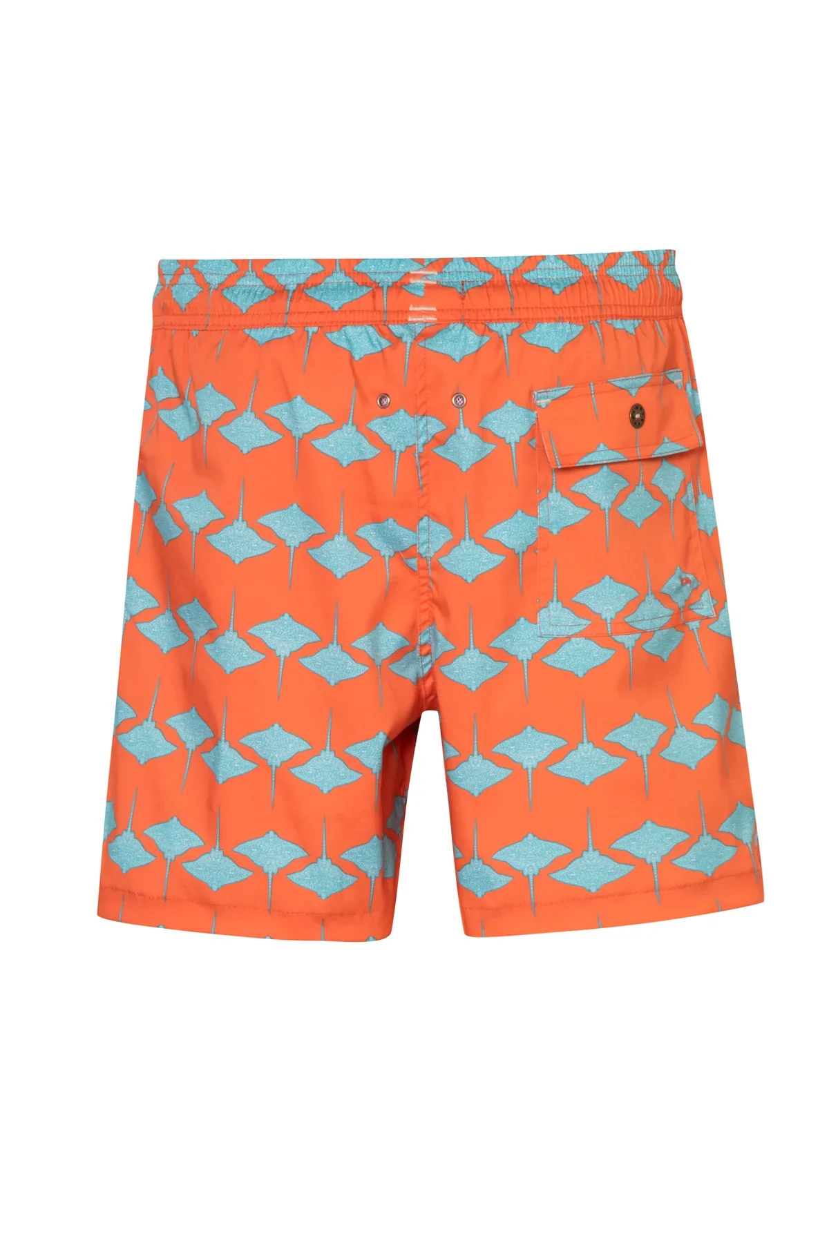 Short Manta1 - Image 2