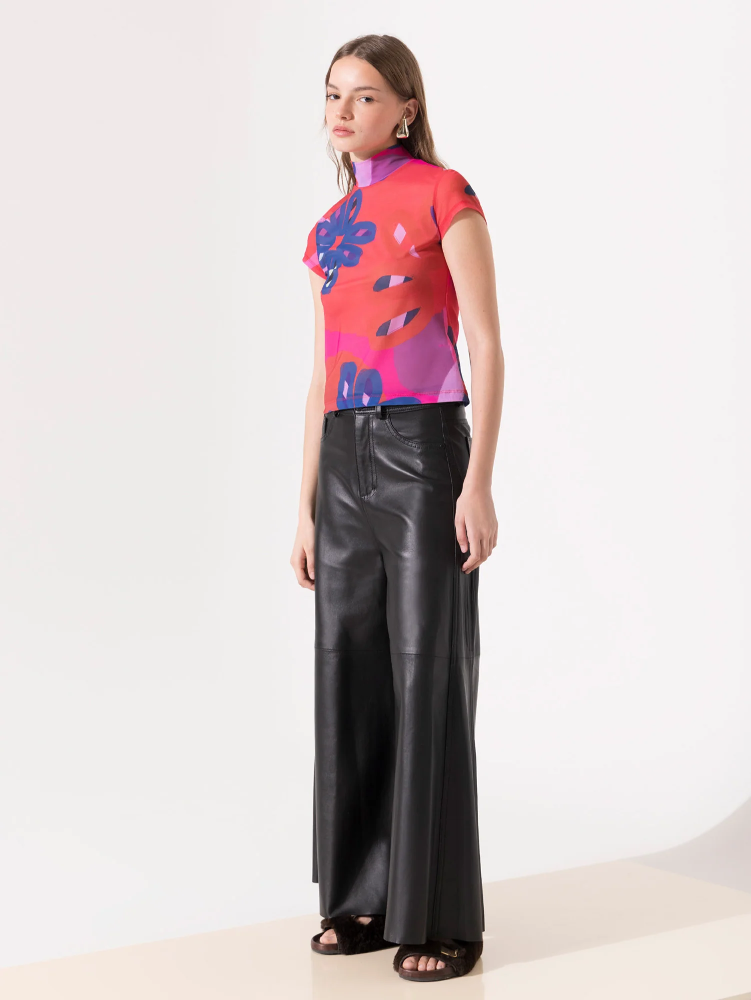 Top Begonia - Image 2