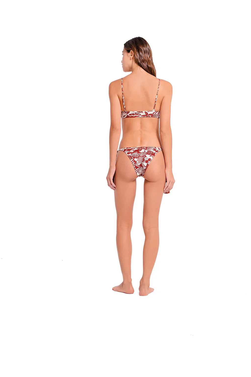 Top Murex - Image 3