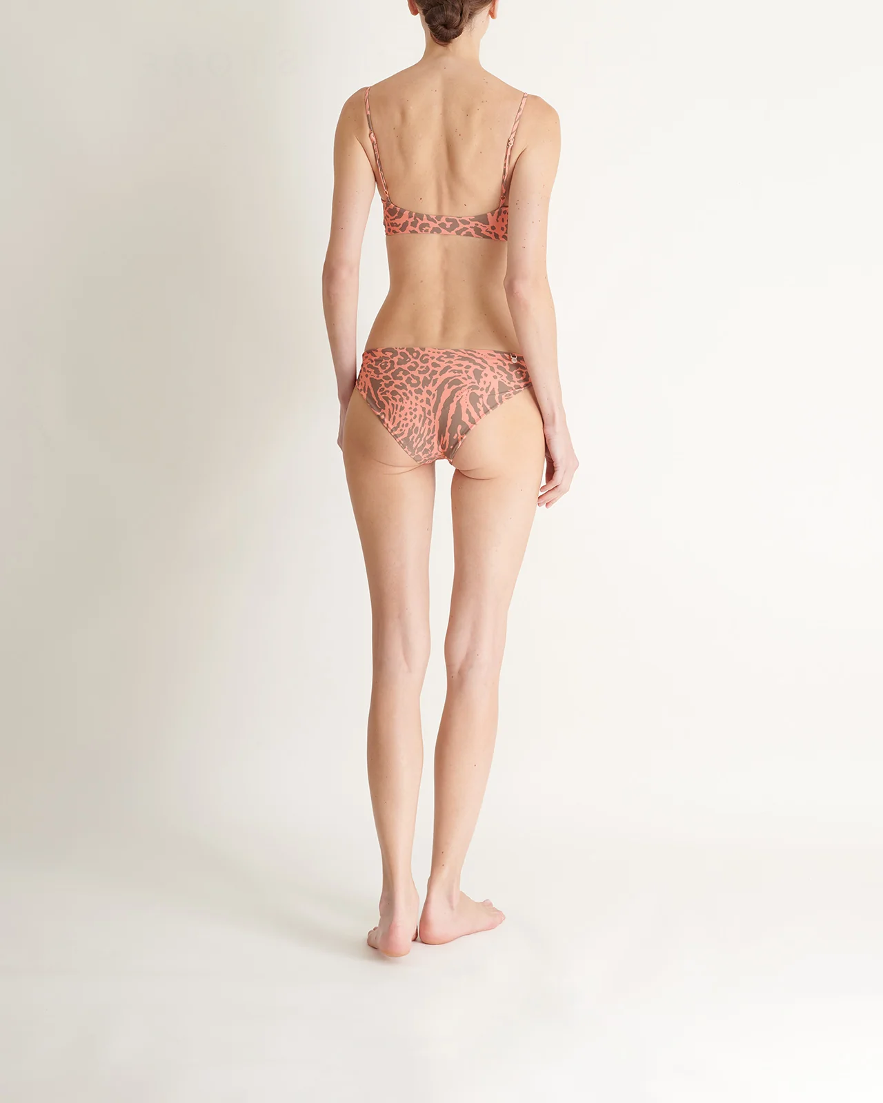 Top Wild Connection - Image 3