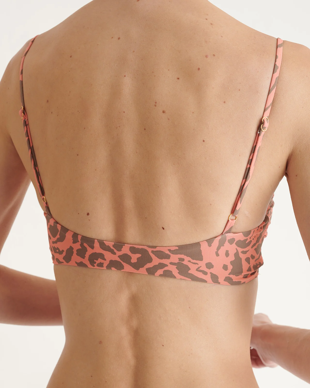 Top Wild Connection - Image 4